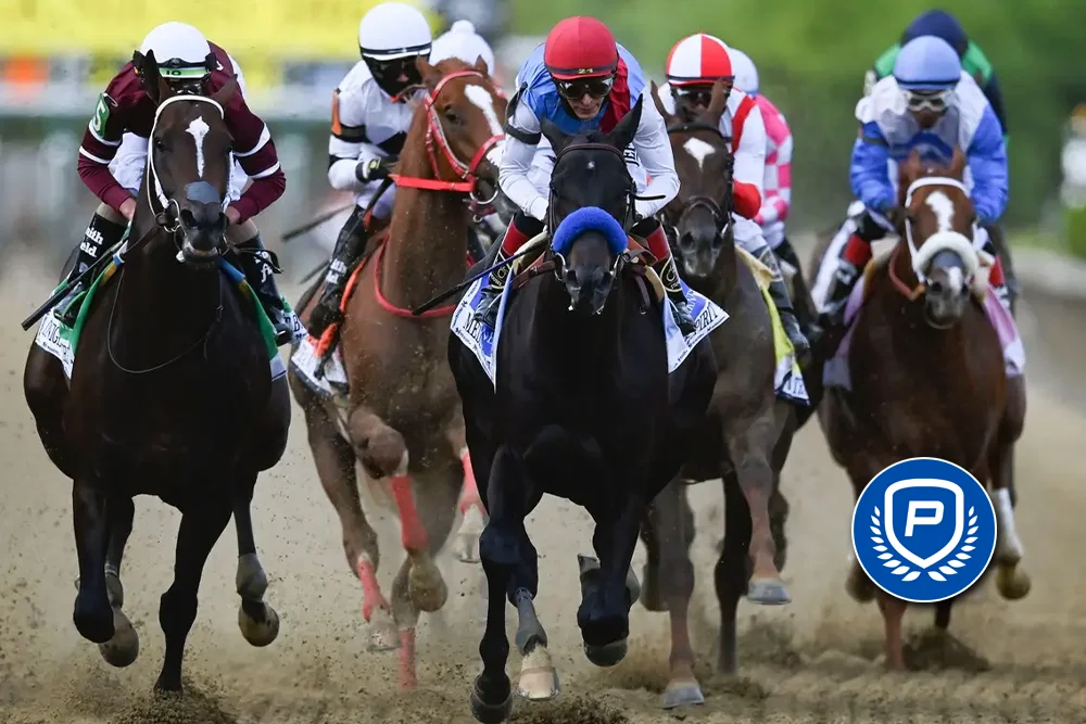 Horse Racing Gambling Software for U.S. Bettors