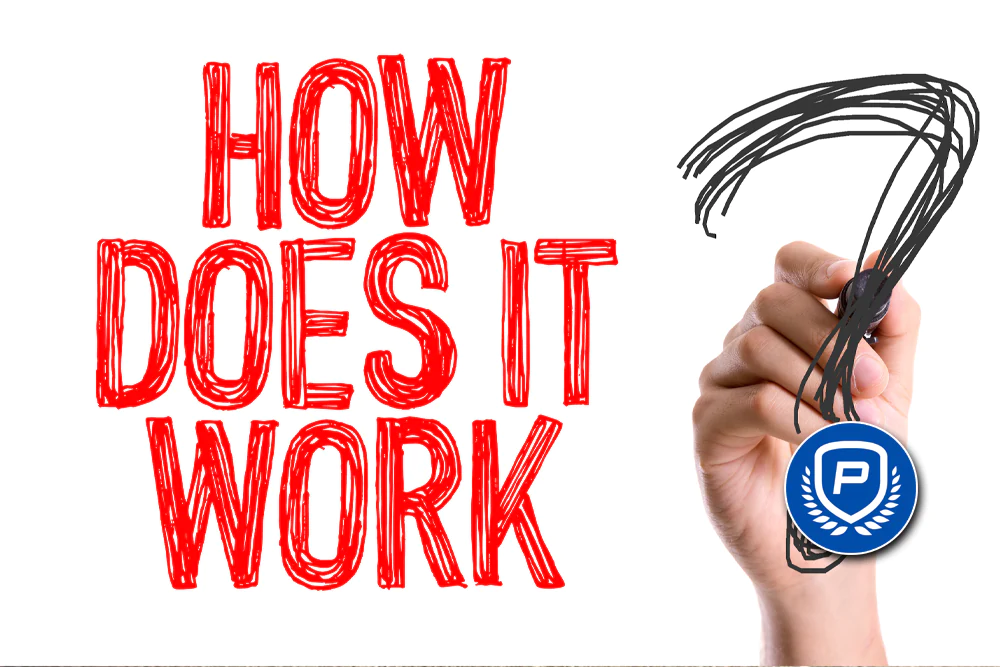 how do sportsbooks work